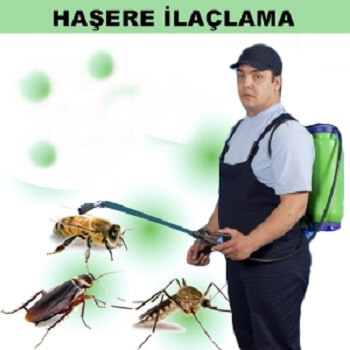 Selçuk Böcek İlaçlama
